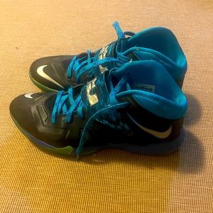 Lebron Nikes